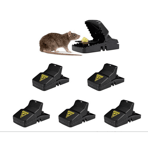 Best Mouse Traps That Work Small Mice Trap Indoor Quick Effective Catcher 6 Pack